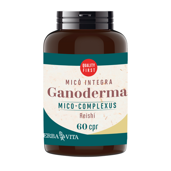 Ganoderma (reishi)