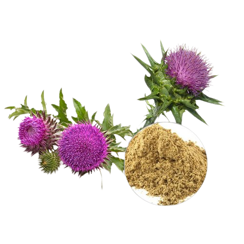 Mulk thistle